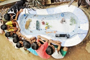 Fish Tank in the Garden